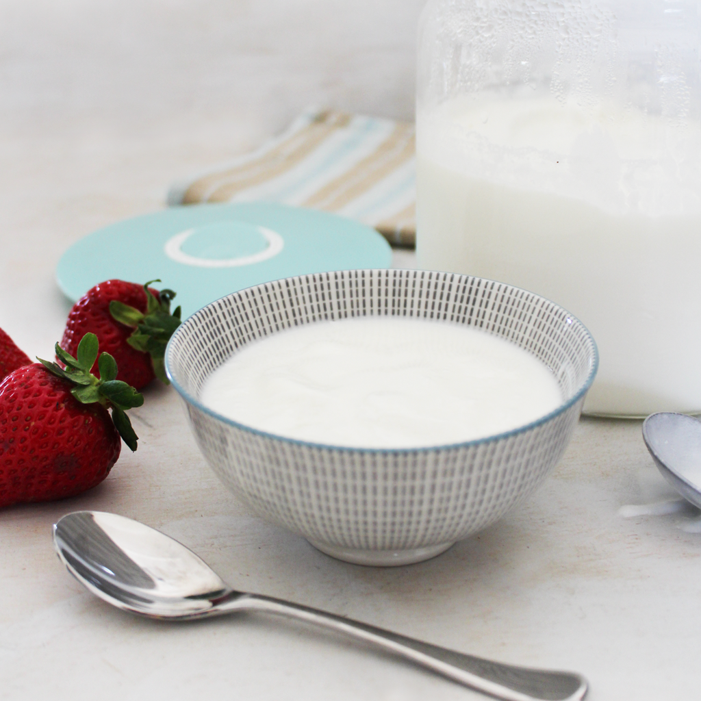Ricetta per lo yogurt 24 ore al latte di capra per regime SCD & GAPS