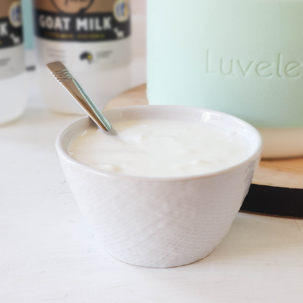 24 hour goat milk yoghurt recipe for SCD & GAPS