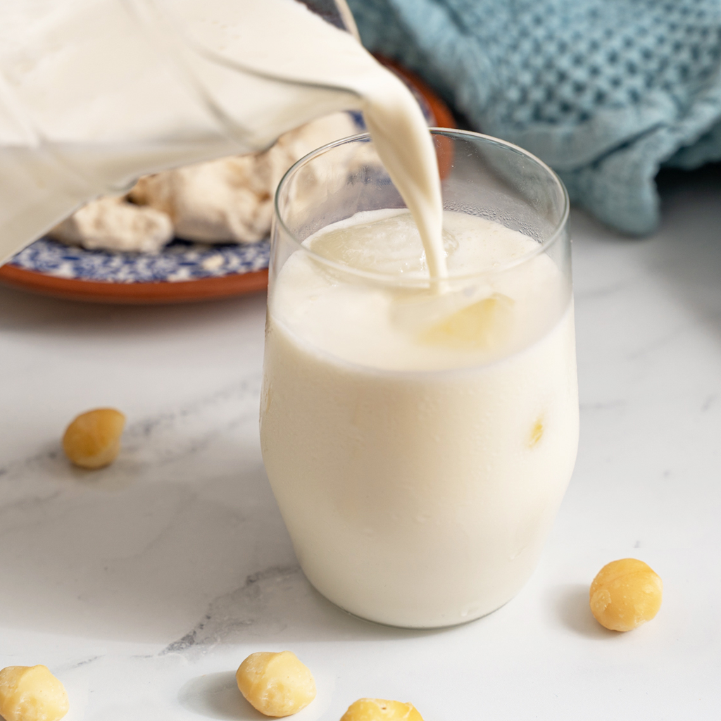 Activated Macadamia nut milk recipe
