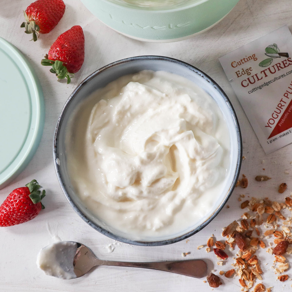 Make homemade probiotic yogurt with cutting edge cultures